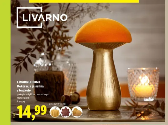 Dekoracja jesienna z terakoty Livarno Home promocja w Lidl