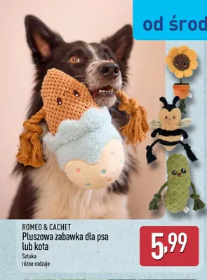 Pluszowa zabawka dla psa ROMEO & CACHET promocja w Aldi