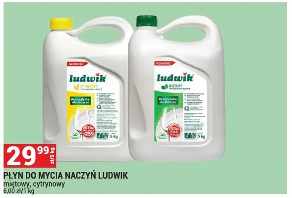 Płyn do mycia naczyń miętowy promocja w Merkury Market