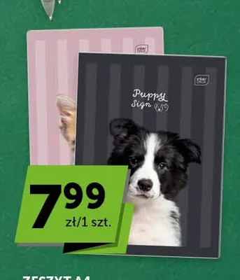 Zeszyt A4 Puppy Sign w kratkę 32 kartki Interdruk promocja w Groszek