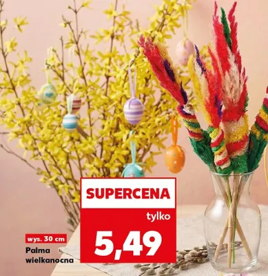 Palma wielkanocna promocja w Kaufland