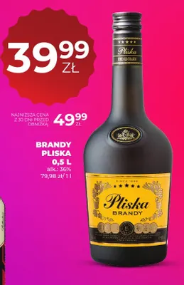 Brandy Pliska promocja w Duży Ben