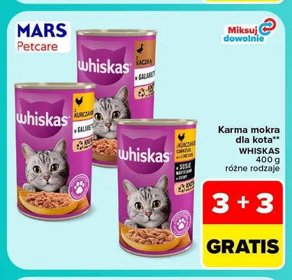 Karma mokra dla kota Whiskas promocja w Carrefour Market