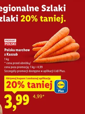 Marchew z Kaszub promocja w Lidl