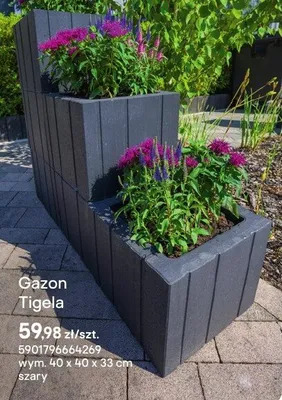 Gazon Tigela szary promocja w Castorama