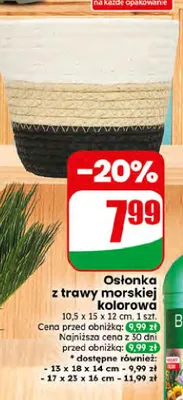 Osłonka z trawy morskiej kolorowa 10,5x15x12 cm promocja w Dino