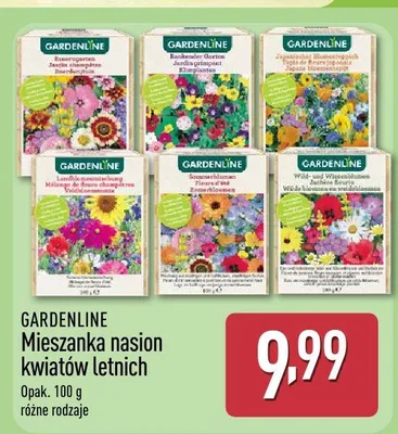 Mieszanka nasion kwiatów letnich promocja w Aldi