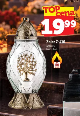 Znicz Z-416 Amikus promocja w TOPAZ