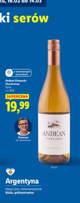 Wino promocja w Lidl