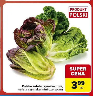 Sałata rzymska mini polska promocja w Carrefour Market