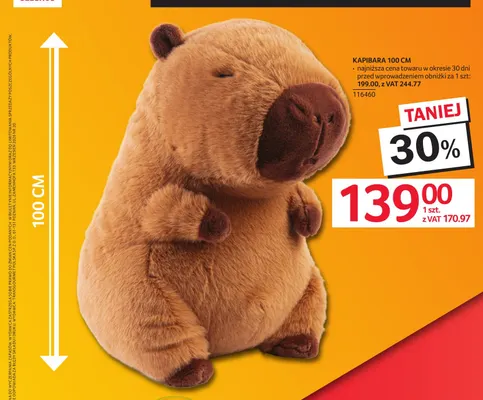 Kapibara 100 cm promocja w Selgros