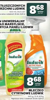 Płyn do zatłuszczonych powierzchni Ludwik Active Foam promocja w Stokrotka