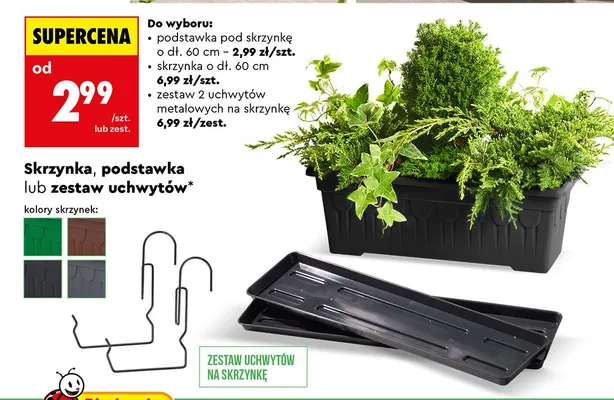 Skrzynka o dł. 60 cm promocja w Biedronka