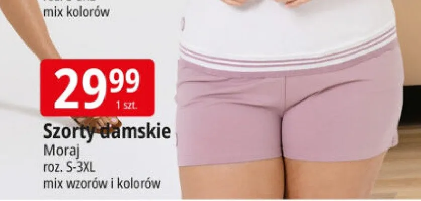 Szorty damskie Moraj roz. S-3XL promocja w Leclerc