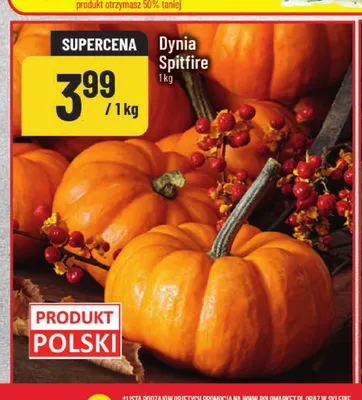 Dynia Spitfire promocja w POLOmarket