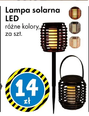 Lampa solarna LED różne kolory promocja w Tedi