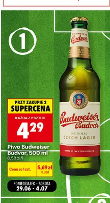 Piwo Budweiser Budvar promocja w Biedronka