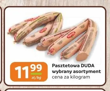 Pasztetowa Duda promocja w Gama