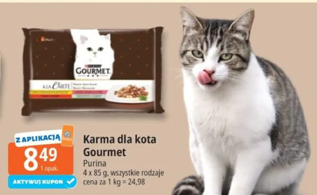 Karma dla kota Gourmet A la Carte Purina promocja w Leclerc