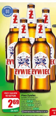 Piwo Żywiec promocja w Dino