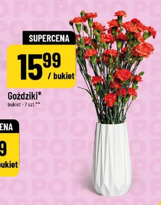 Goździki promocja w POLOmarket