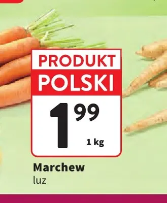 Marchew promocja w Intermarche