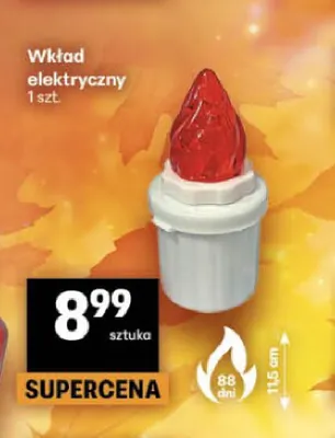 Wkład elektryczny promocja w Delikatesy Centrum