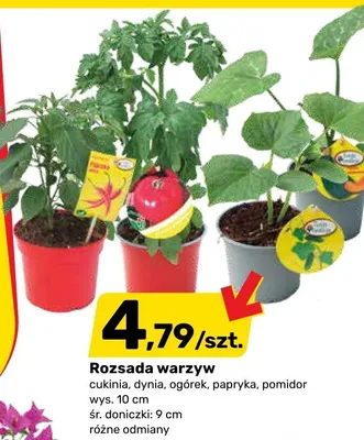 Gazetka, strona 11 promocja w Bricomarche