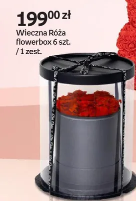 Wieczna róża flowerbox 6 szt. promocja w Empik