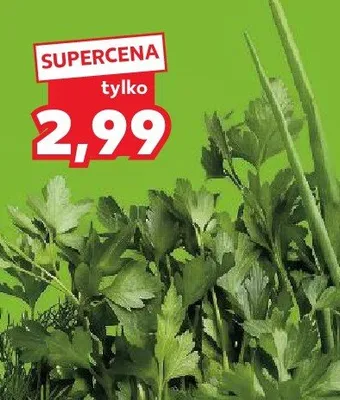 Pietruszka natka polska promocja w Kaufland