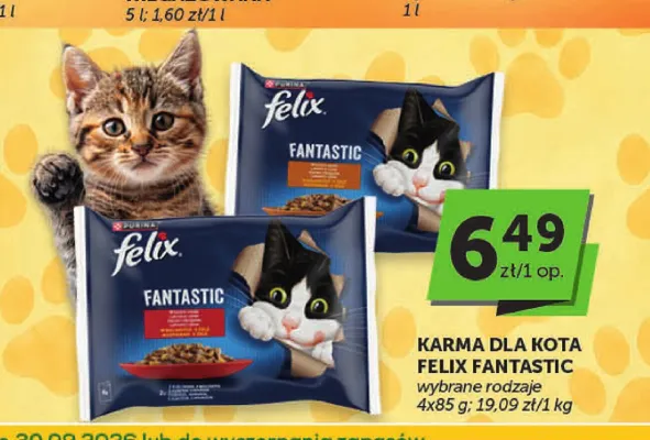 Karma dla kota Felix Fantastic 4-pak promocja w ABC