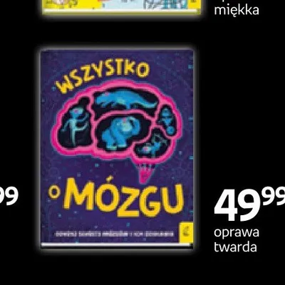 Książka Wszystko o mózgu oprawa twarda promocja w Empik