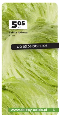 Sałata lodowa promocja w Odido