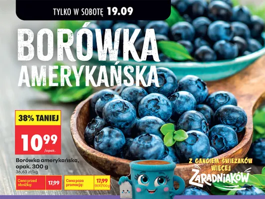 Borówka amerykańska promocja w Biedronka