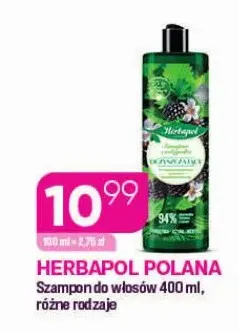 Szampon do włosów Herbapol Polana promocja w Drogerie Koliber