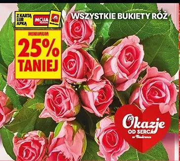 Bukiet róż promocja w Biedronka