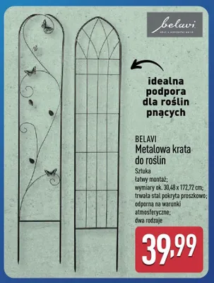 Metalowa krata do roślin promocja w Aldi