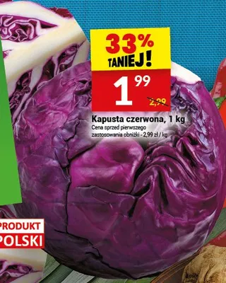 Kapusta czerwona, 1 kg promocja w Twój Market