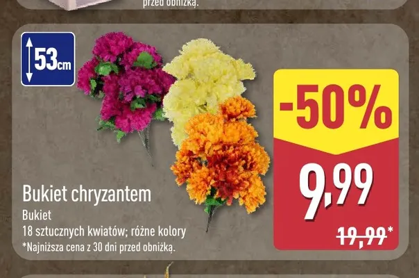 Bukiet chryzantem 53 cm promocja w Aldi