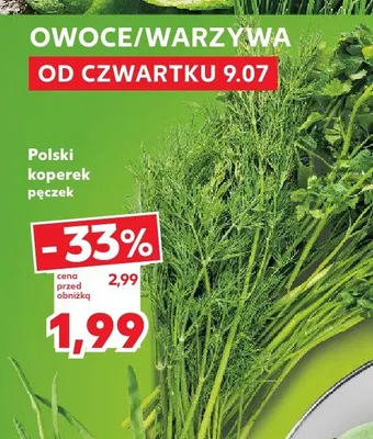 Koperek polski promocja w Kaufland