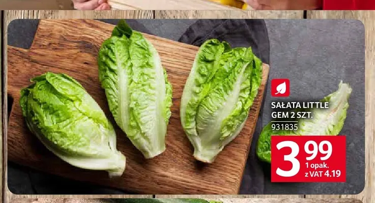Sałata Little Gem promocja w Selgros