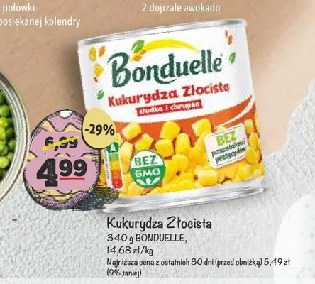 Kukurydza Złocista promocja w Arhelan