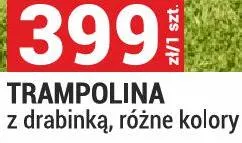 Trampolina z drabinką, różne kolory promocja w Merkury Market