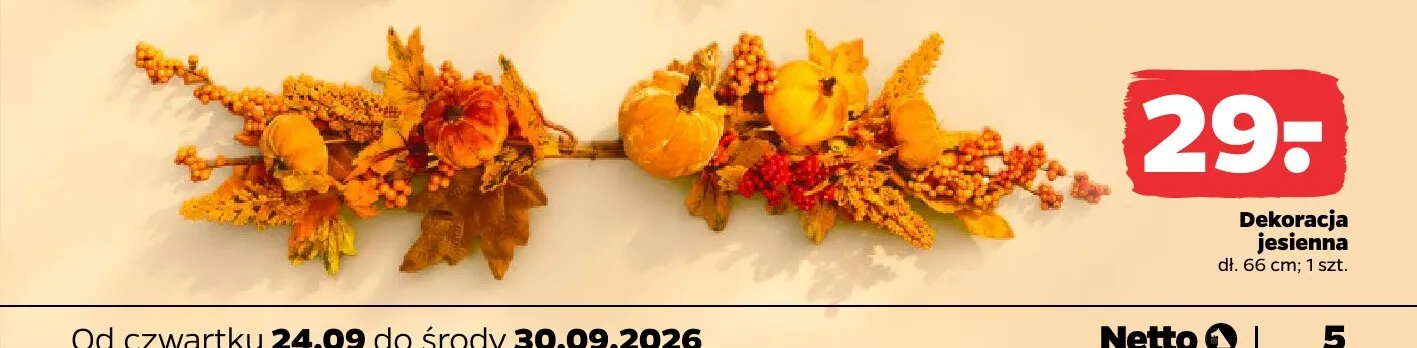 Dekoracja jesienna 66 cm promocja w Netto