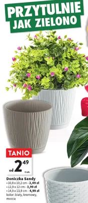 Doniczka Sandy - 12,9 x 12 cm promocja w Intermarche