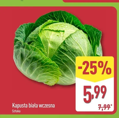 Kapusta biała wczesna promocja w Aldi