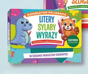 Książka Litery sylaby wyrazy promocja w Biedronka