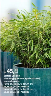 Katalog Ogród, strona 99 promocja w OBI