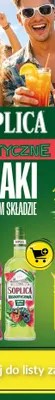 Likier Soplica Egzotyczna kaktus arbuz 0,5 promocja w Lidl