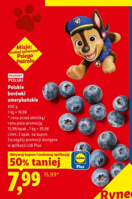 Borówki amerykańskie polskie promocja w Lidl